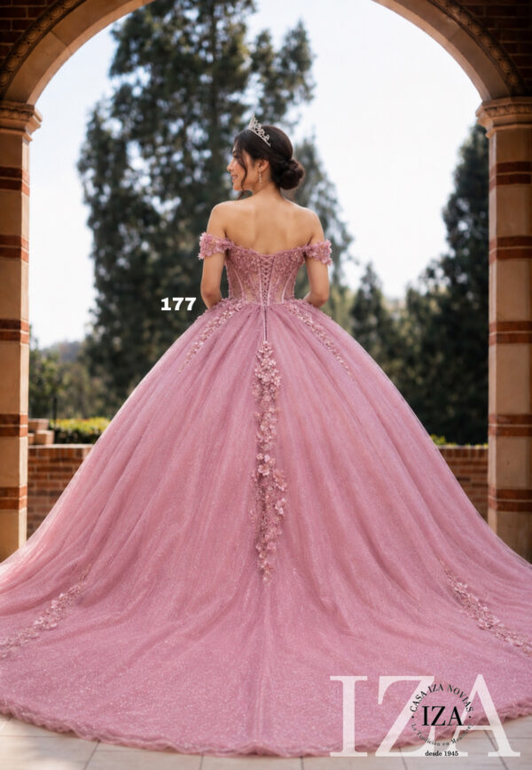 XV 177 ROSA - Image 2
